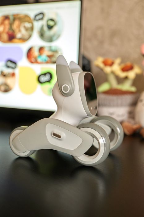 Розумний робот Loona Petbot Premium Kit (станція + ігровий комплект)