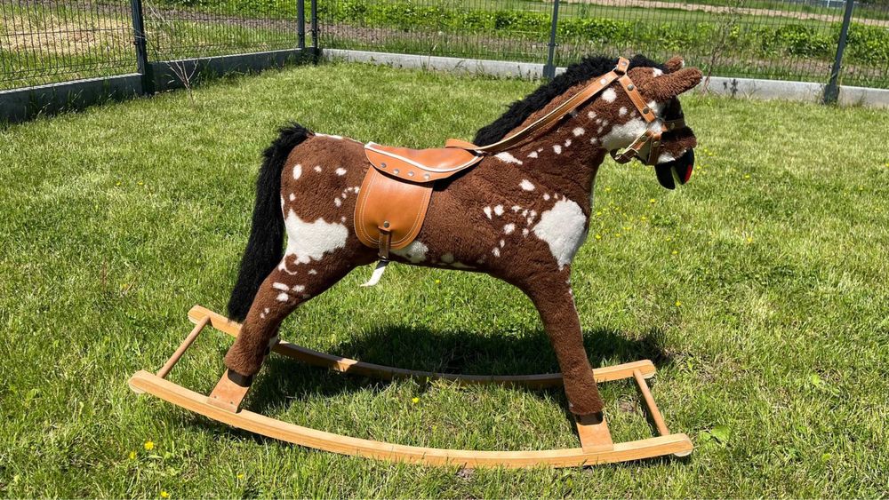 Konik na biegunach
