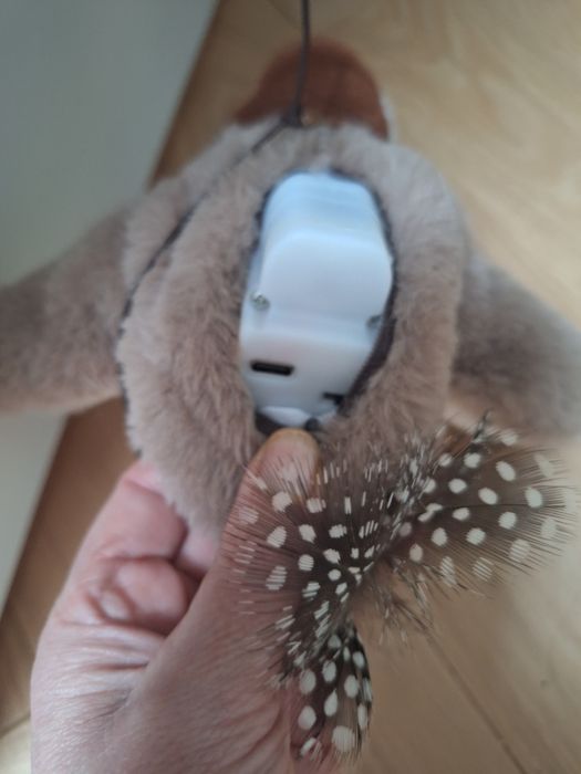 Ptaszek.interaktywny