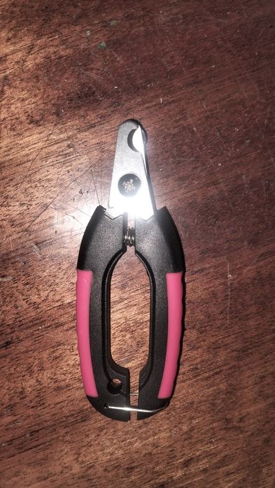 Кігтеріз для котів