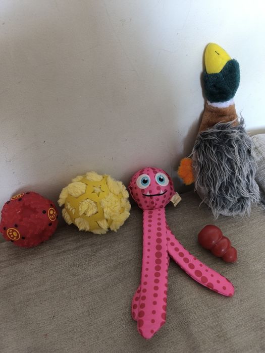 Конг Kong Игрушка для собак тварин собаки собачки животных тварини kon