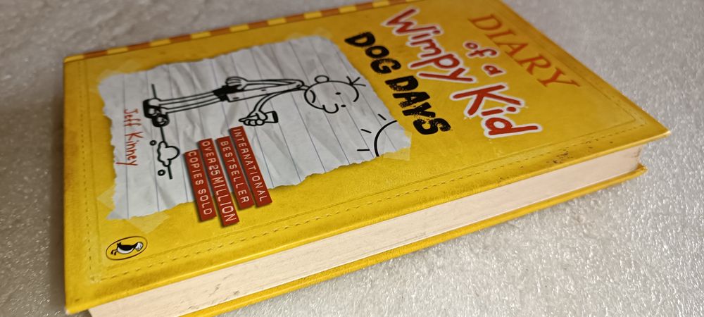Antigo livro diário de um banana versão inglesa