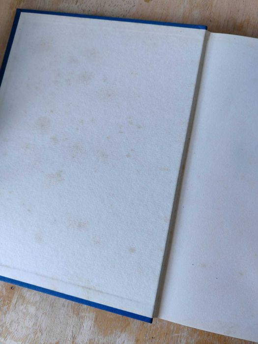 O Grande Livro de Perguntas e Respostas de Charlie Brown 5