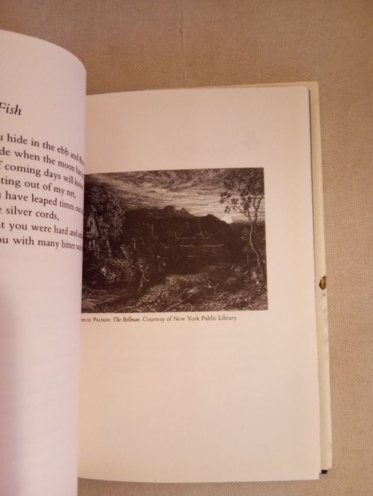 W. B. Yeats (Autor Prémio Nobel) - A Poet to his Beloved