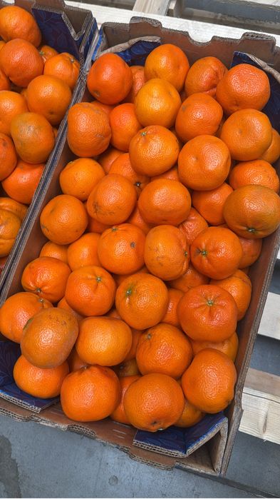 Mandarynki 10 kg op (3zł kg)