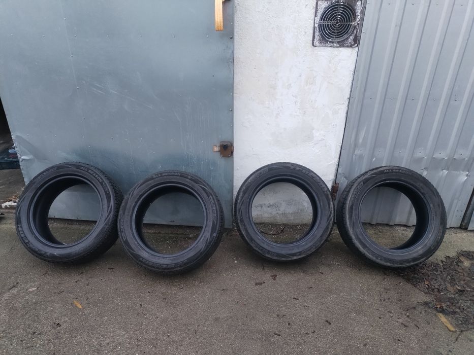 Opony wielosezonowe 225/55/17