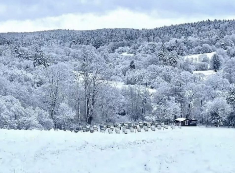 Mikstura wzmacniająca odporność 4 x sloik 235 ml