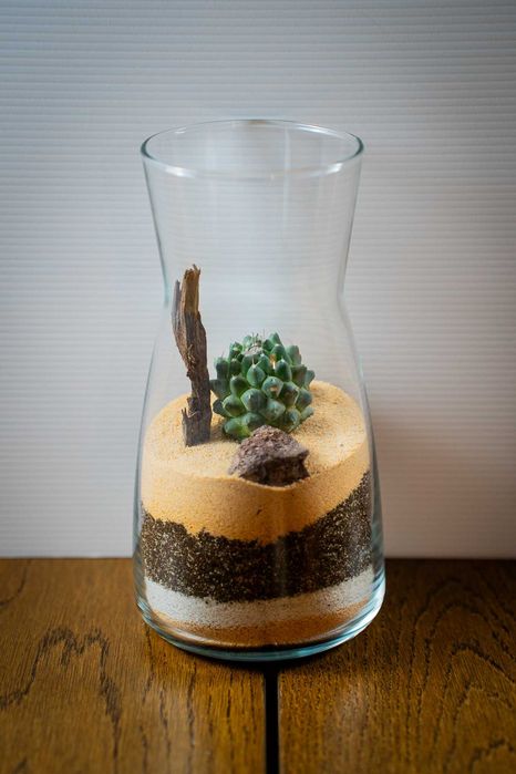 Mini terrário de cacto em jarra de vidro 20 cm – decoração / presente