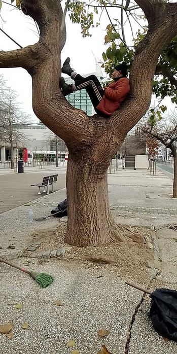 Jardineiro para serviços