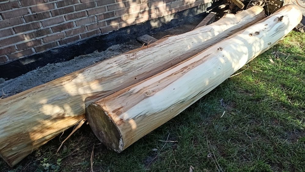 Kłody, kloce drewna lipy - ścięto grudzień 2022 r.