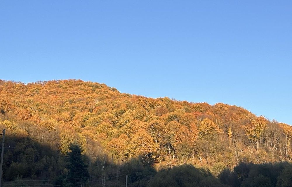 Здаються апартаменти біля санаторію "Квітка полонини".