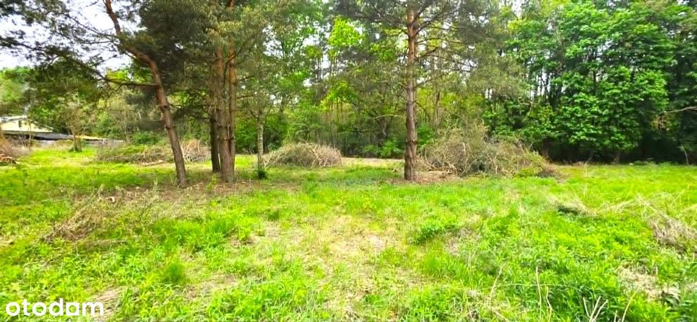 Piękna działka pod lasem Szczęsne - Widok 6