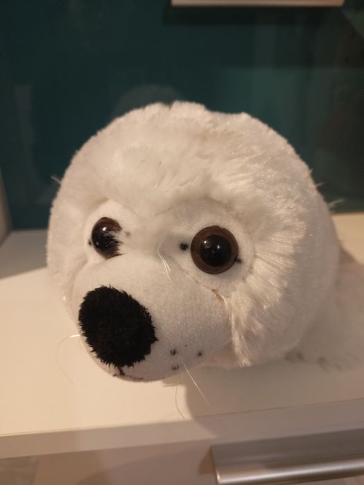 Biała Foka maskotka