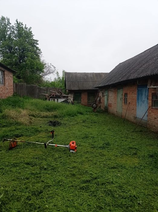 Продам будинок Недригайлівський район  село  засулля