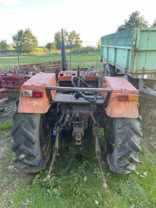 Wladymirec na chodzie