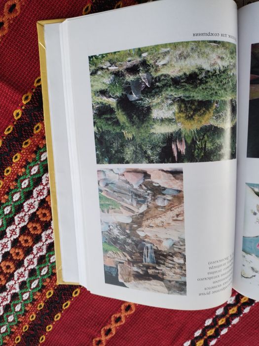 Книга Ландшафтный дизайн