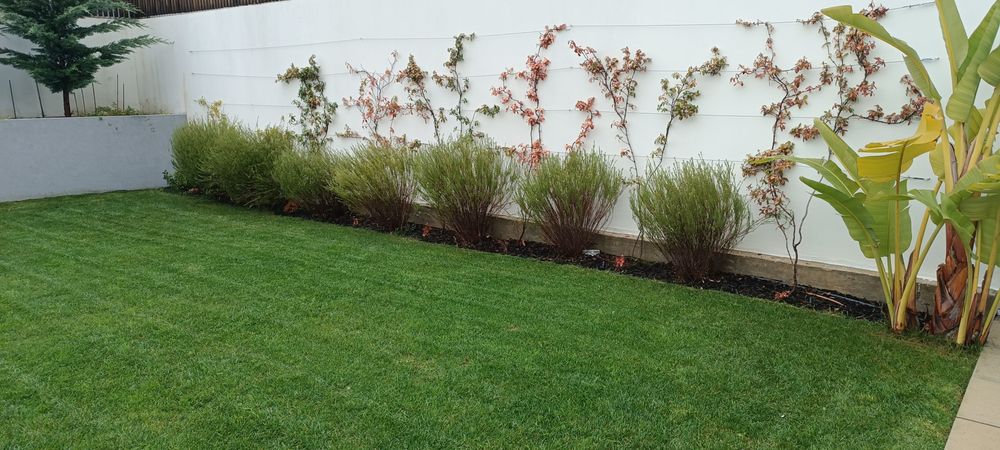 Contrução de Jardins