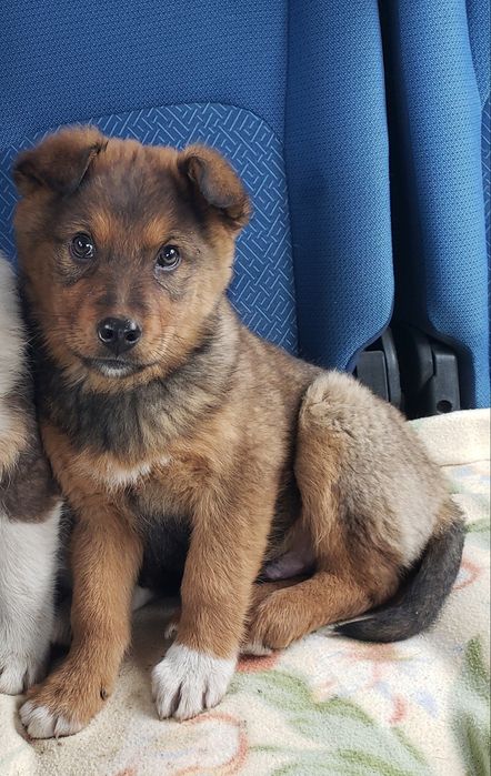 Малыш в хорошие руки!