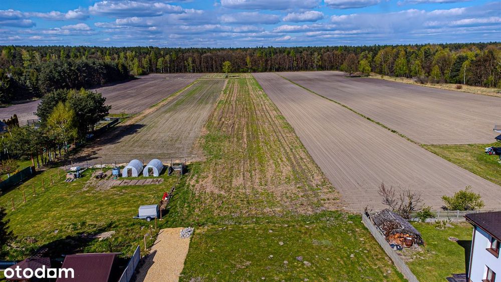 Działki 877 m² Bojszowy Nowe ul. Ruchu Oporu — 4. i 5. linia, WZ - Widok 3