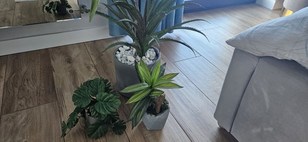 Sztuczne rosliny  dom