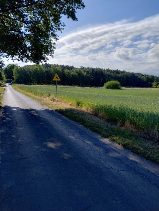 2 działki budowlane przy lesie , świetna lokalizacja