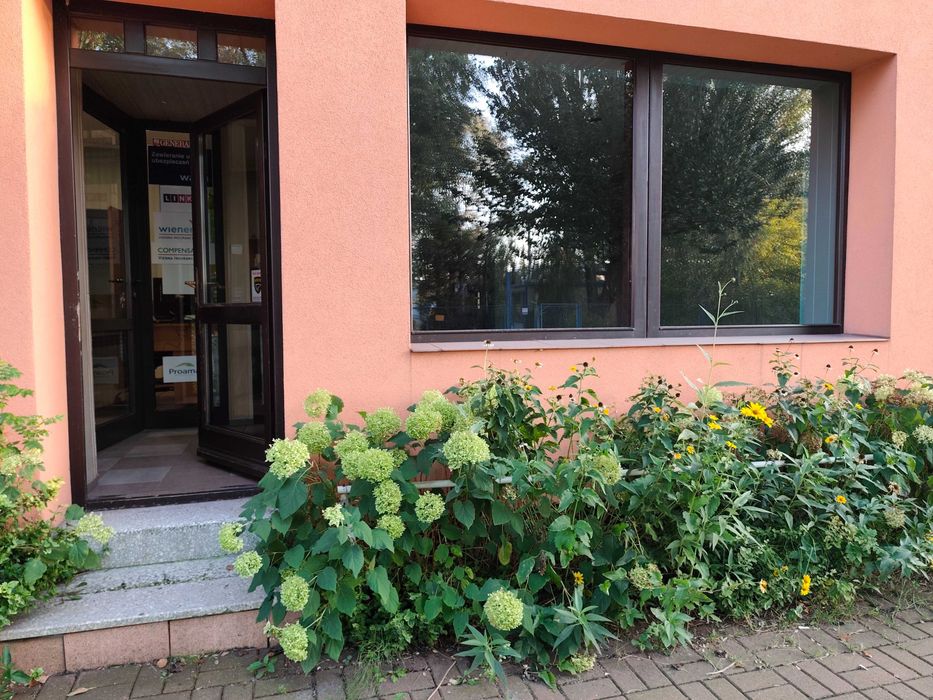 Wynajmę lokal pod biuro / działalność