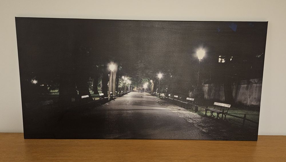 Obraz planty Kraków