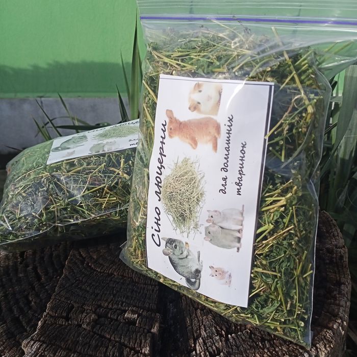 Сіно    люцерни.