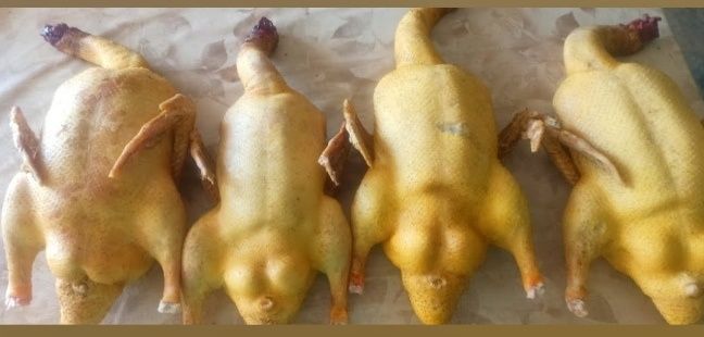 Mięso z kaczki młodej, tegorocznej, tuszki