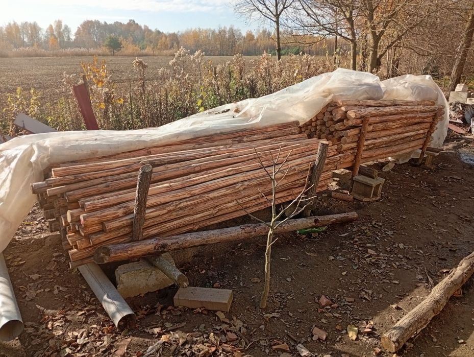 Nowe stemple budowlane