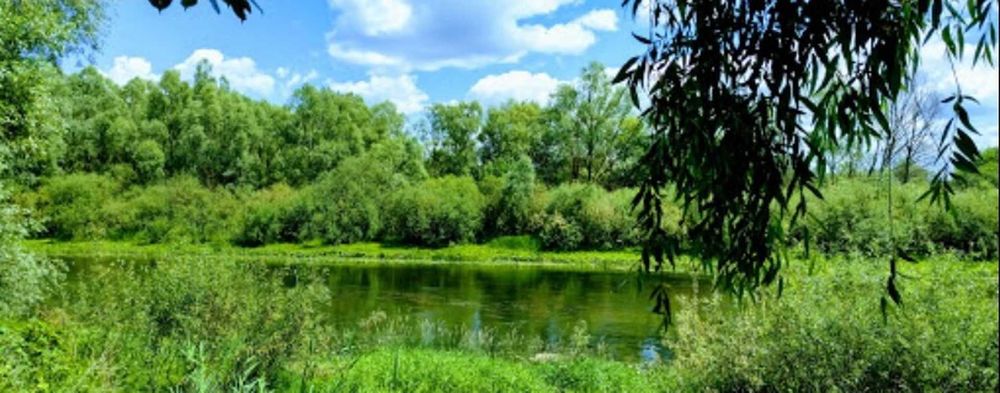 TO Земельна ділянка 12 соток на березі ріки Снов