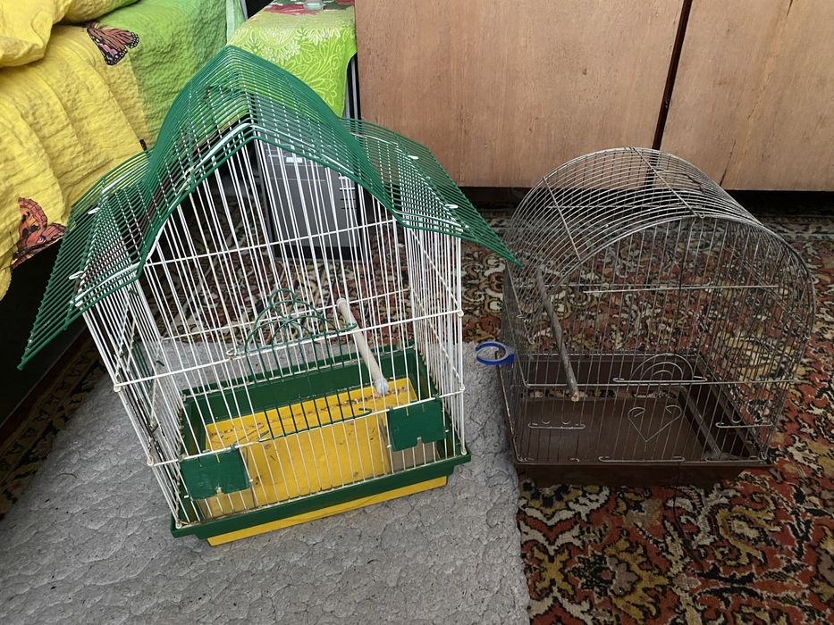 Клітки для папуг
