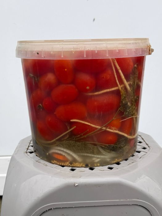 Квашені помідори та огірок