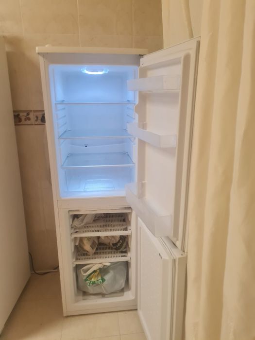 Fregorifico por 100 euros