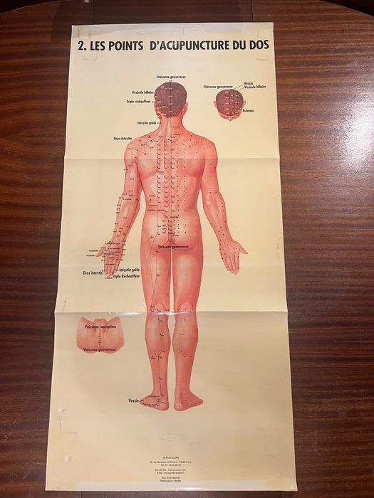 12 Posters / Pranchas de Acupuntura e Anatomia – PHU-XUAN Paris | MTC