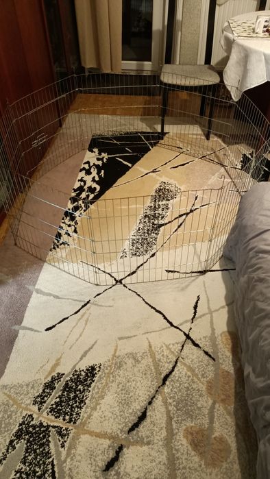 Klatka na zewnątrz dla szczeniaka ,krolika