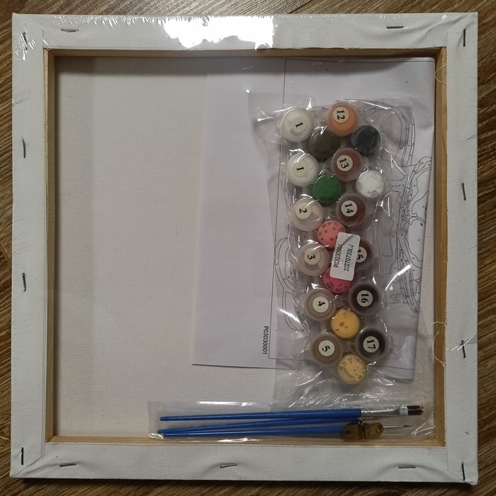 Malowanie po numerach Kotek 30x30cm iPicasso