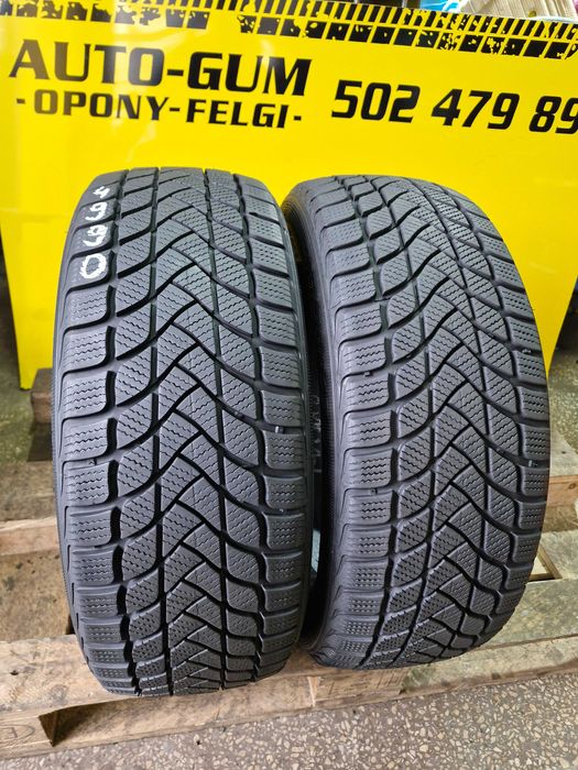 Opony Zimowe 205/55R17 Delinte Winter WD6 2sztuki Montaż