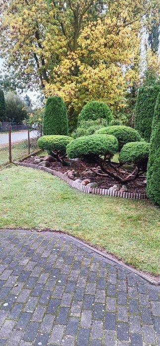 Podnosnik koszowy, czyszczenie działek ,prace ogrodowe.