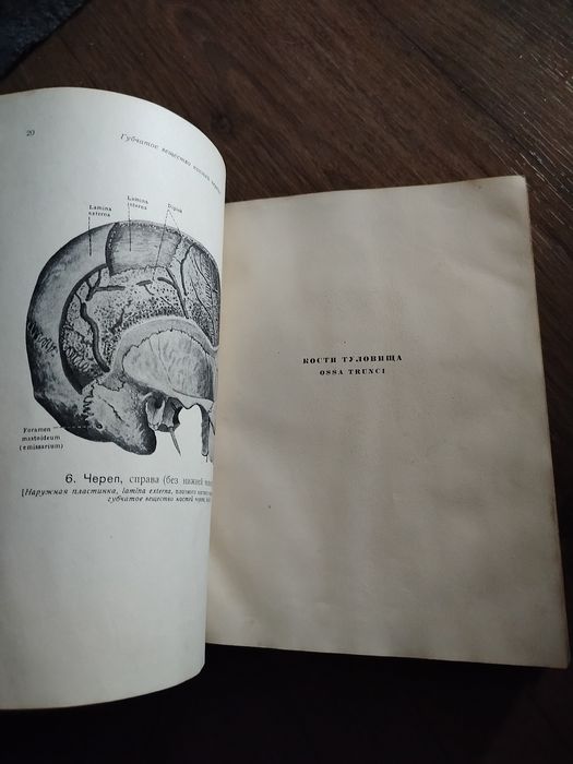 Атлас анатомии человека.