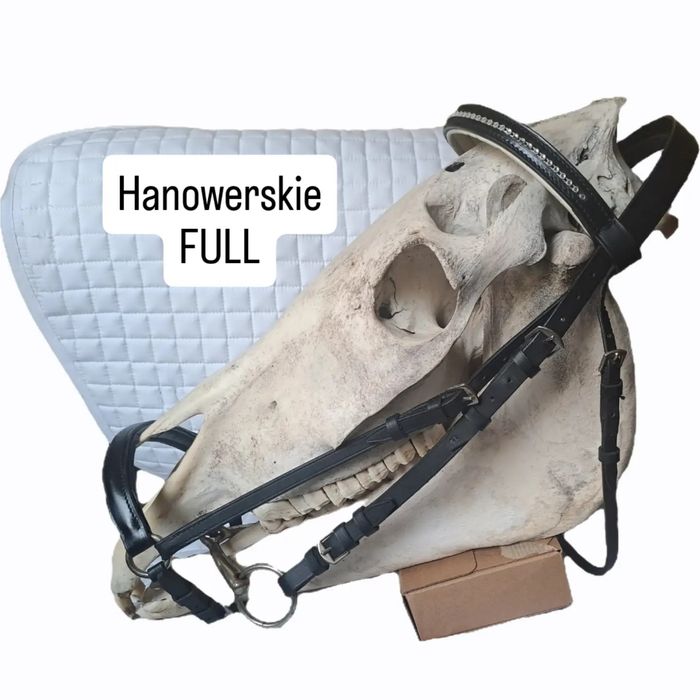 Ogłowie hanowerskie r. Full