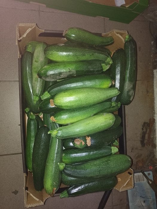 Cukinia  z własnego ogrodu.
