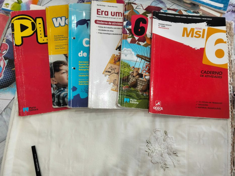 Cadernos de atividades 6 ano