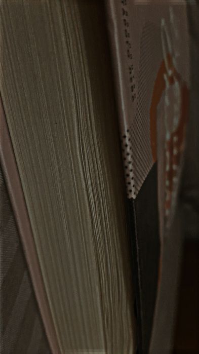Книга:Дівчина онлайн