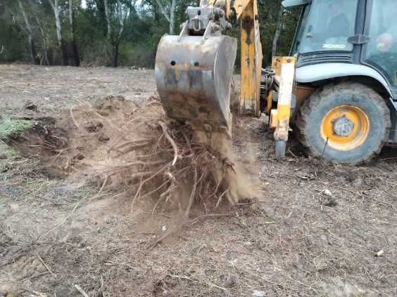 Ogrody Trawniki Prace ziemne Niwelacja terenu Usługi koparko ładowarką