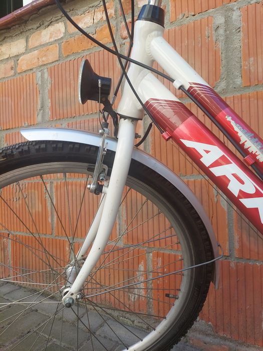 Arkus classic 1000