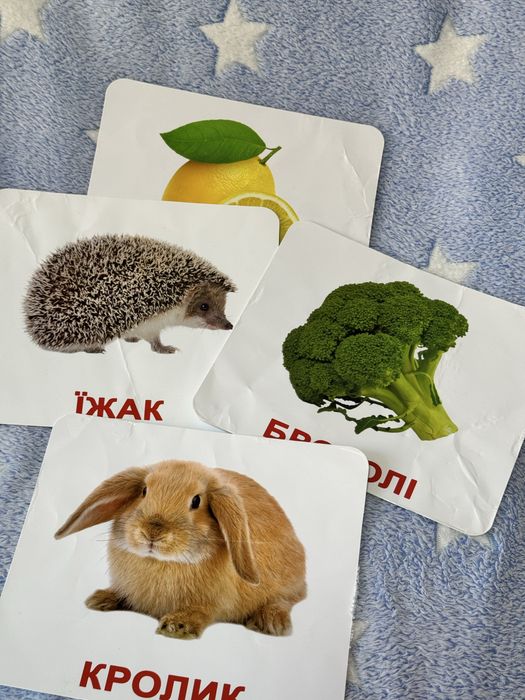 Картки Домана (ламіновані)