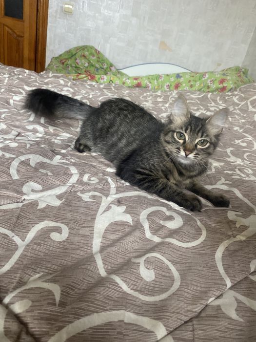 Самая классная мейн - кун