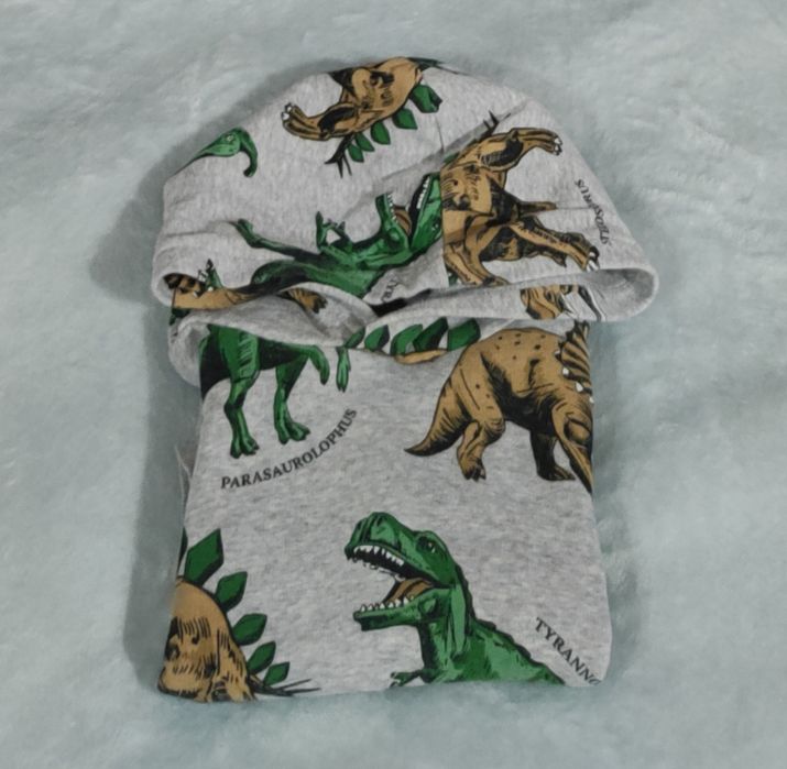 Szara bluza w dinozaury H&M 110/116