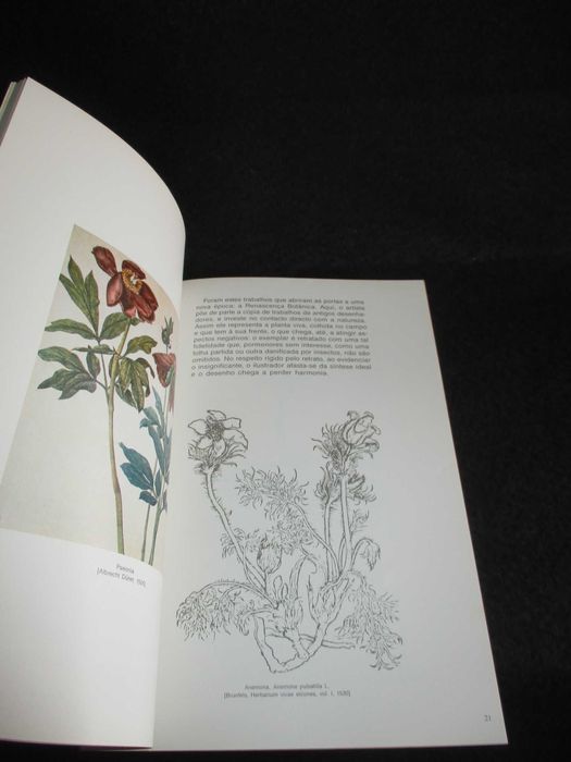 Livro Ilustração Botânica Na Era do Livro Impresso